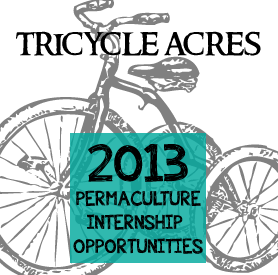 2013-tricycle-iop
